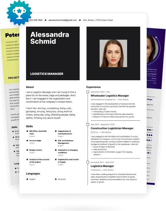 100+ Professional CV Examples for Your Successful Career
