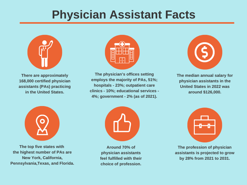 Physician Assistant Resume Examples and Writing Tips