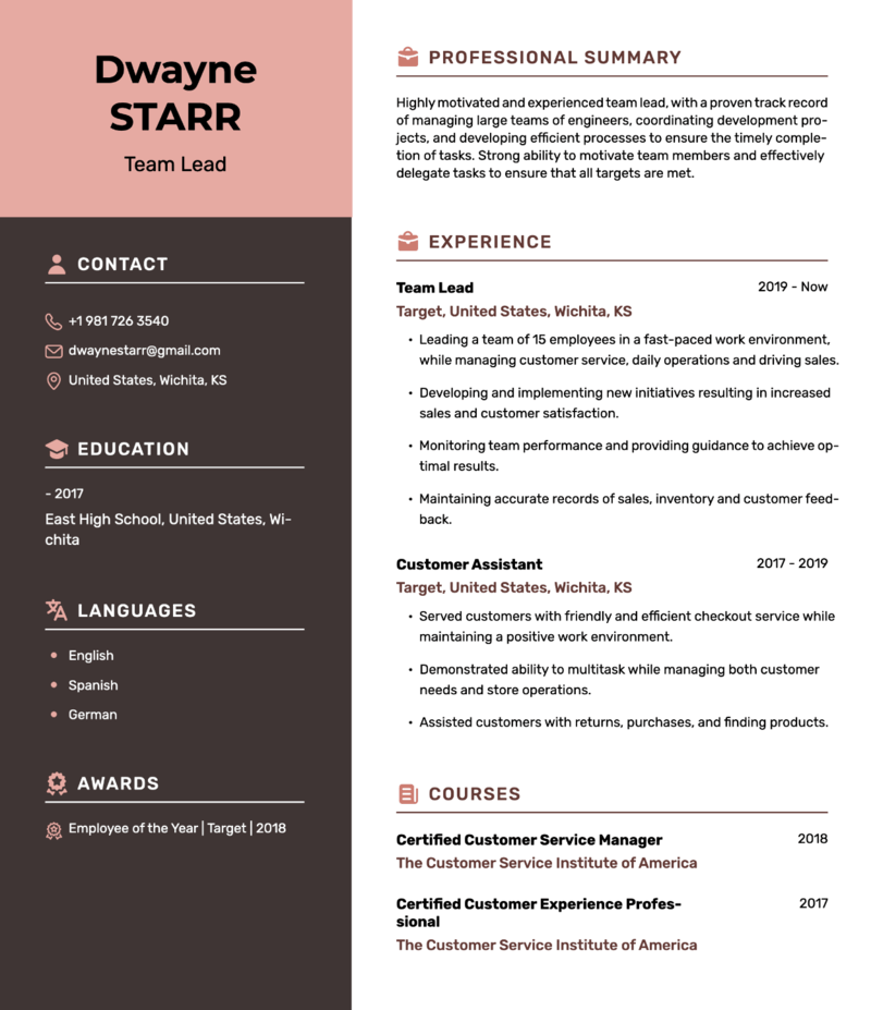 Team Lead Resume Examples And Writing Tips