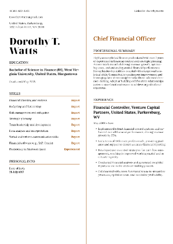 Chief Financial Officer Resume Chief Financial Officer Resume