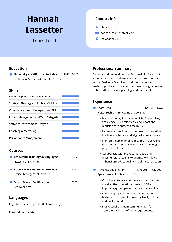Team Lead Resume Team Lead Resume