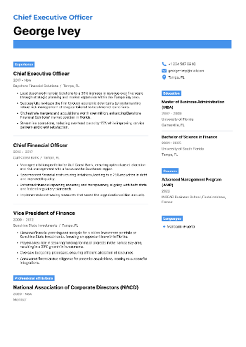 Chief Executive Officer Resume Chief Executive Officer Resume