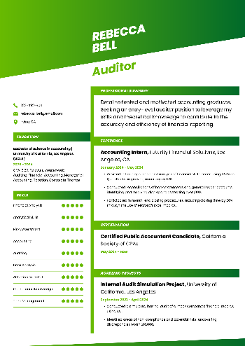 Auditor Resume Auditor Resume
