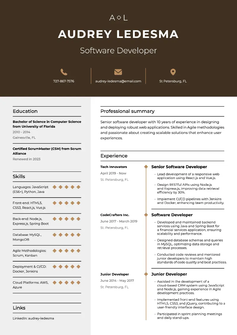 Developer Resume Examples and Templates for 2024