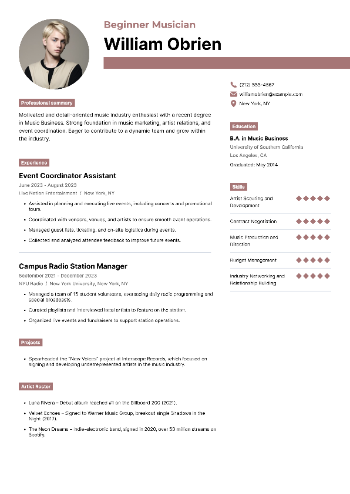 Beginner Musician Resume Beginner Musician Resume
