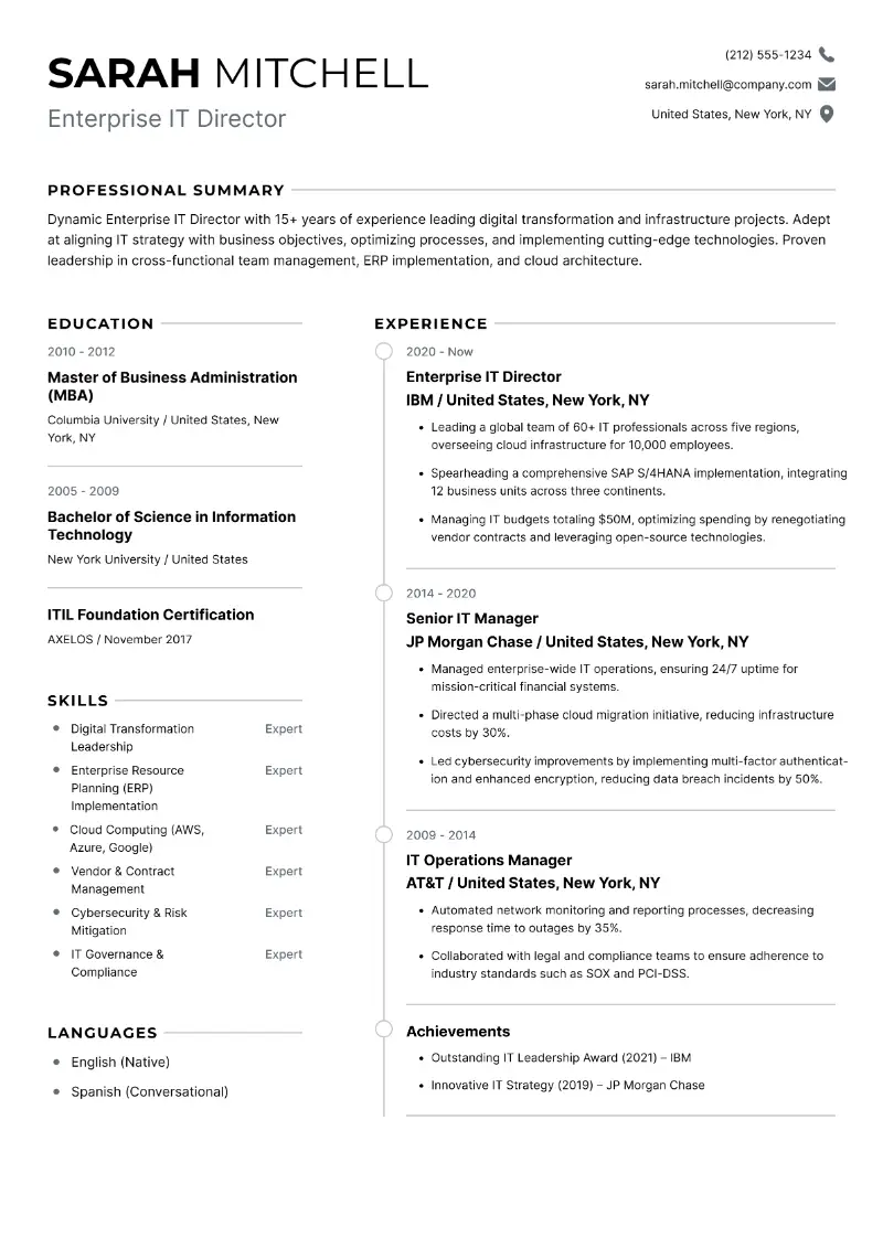 5 Best IT Director Resume Examples for 2024