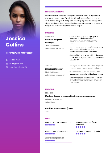 IT Program Manager Resume IT Program Manager Resume