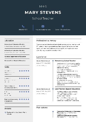 School Teacher Resume