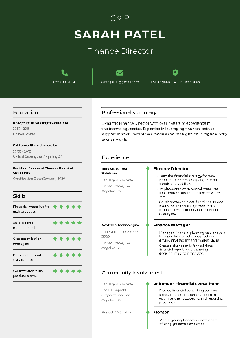 Finance Director Resume
