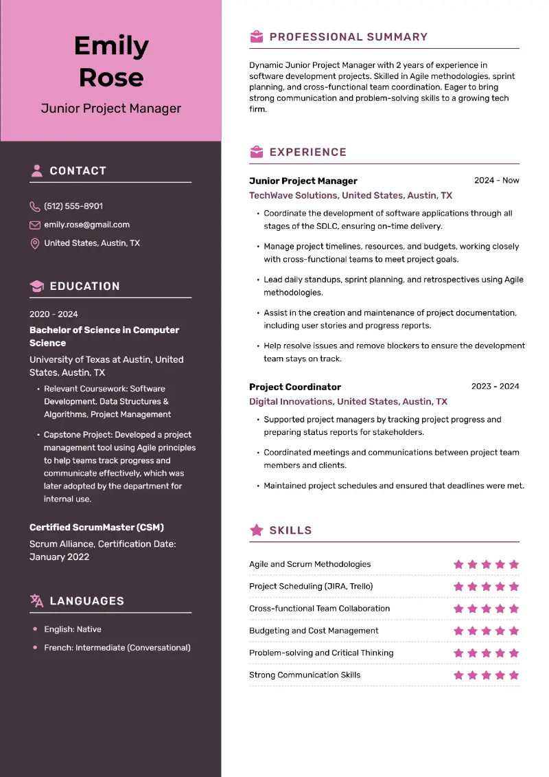 Junior Project Manager Resume Examples Best for 2025