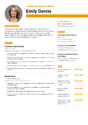 Livestock Ranch Hand Resume Livestock Ranch Hand Resume