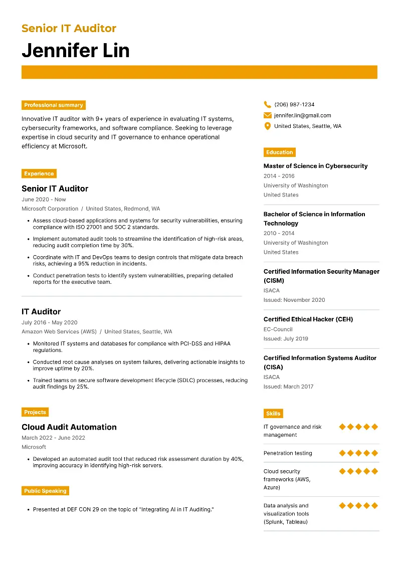 Senior IT Auditor Resume