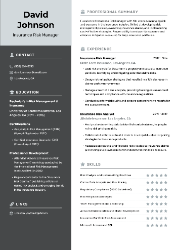 Insurance Risk Manager Resume Insurance Risk Manager Resume