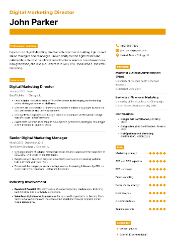 Digital Marketing Director Resume Digital Marketing Director Resume