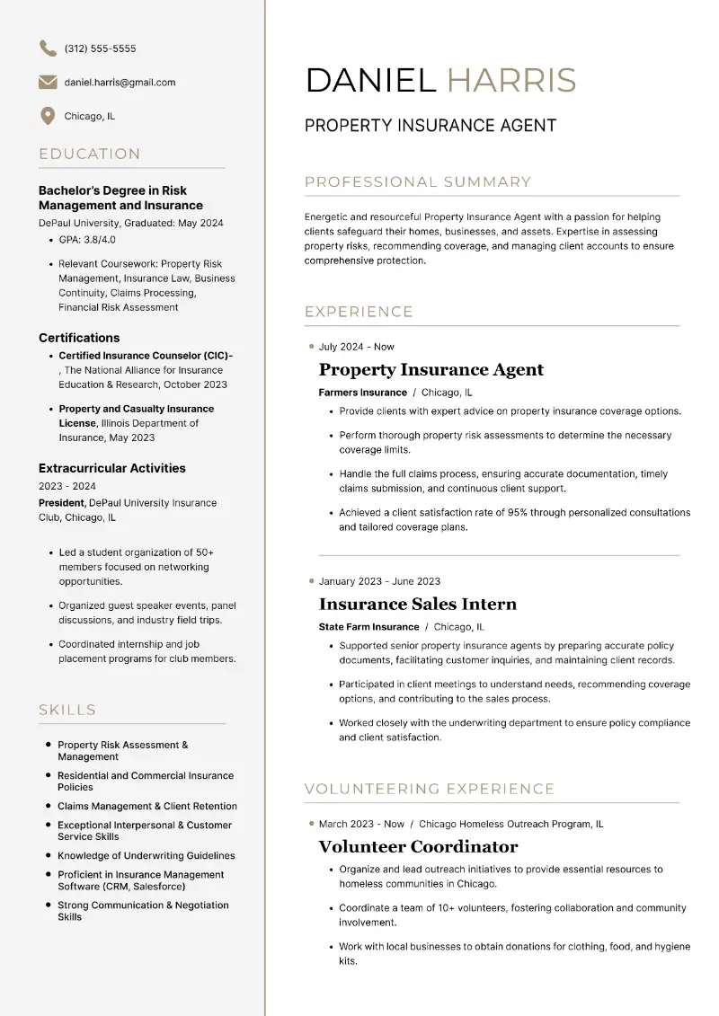 Property Insurance Agent Resume Property Insurance Agent Resume