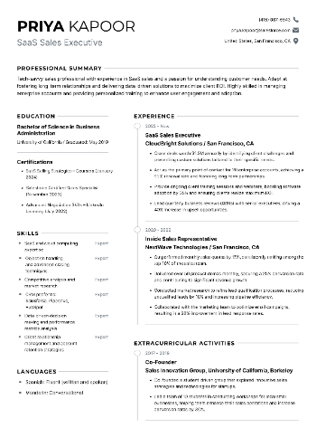 SaaS Sales Executive Resume SaaS Sales Executive Resume