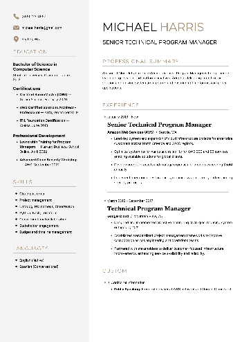 Senior Technical Program Manager Resume