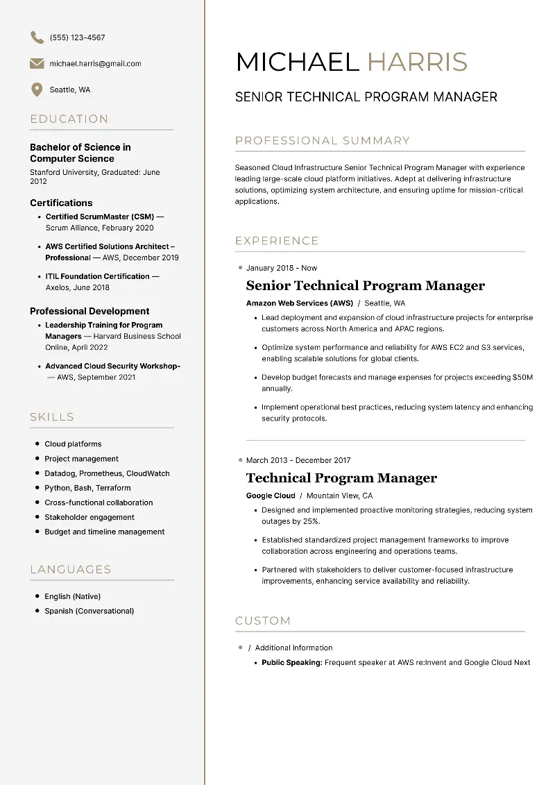Senior Technical Program Manager Resume Examples for 2025