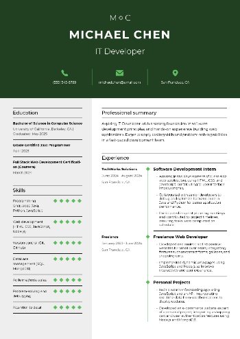 IT Developer Resume
