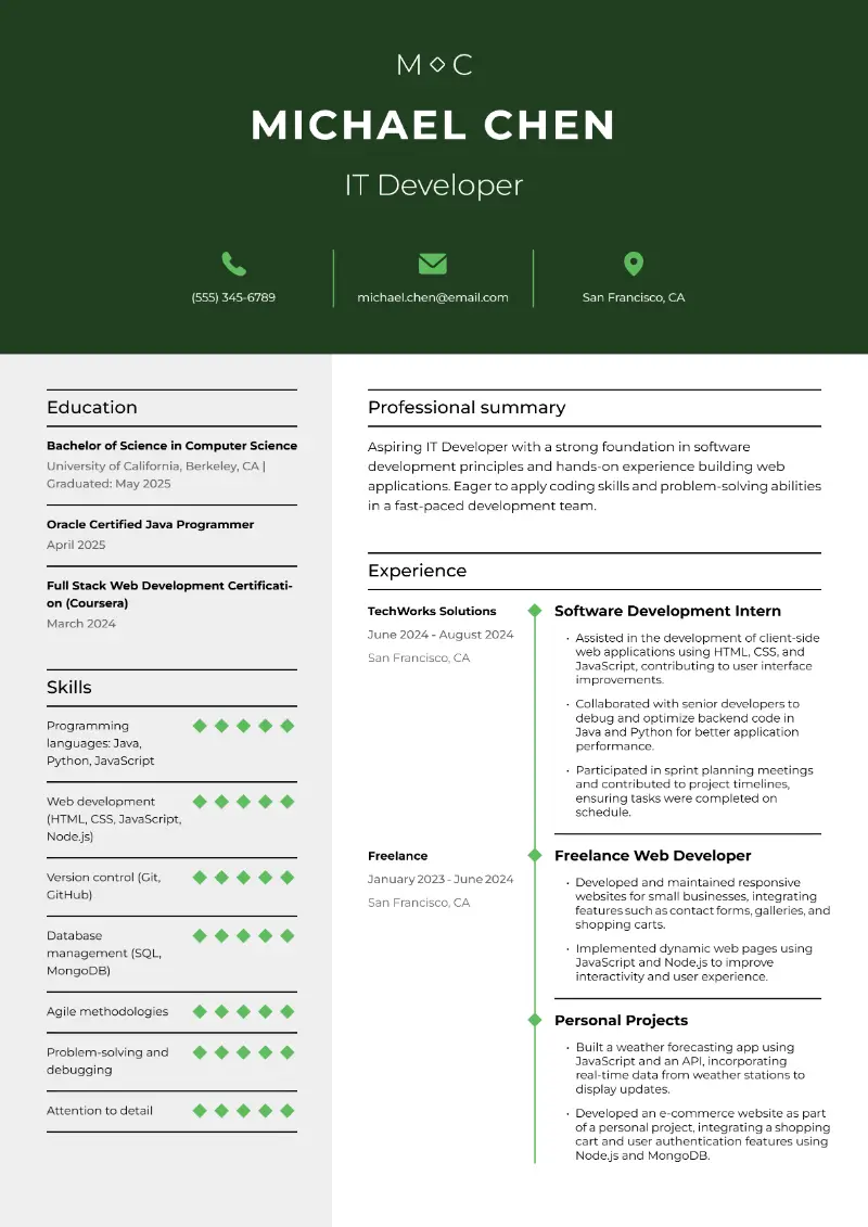 IT Developer Resume