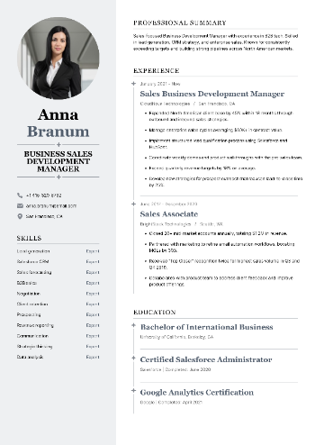 Business Sales Development Manager CV