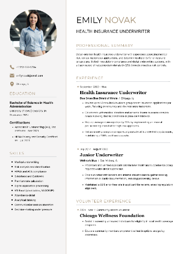 Health Insurance Underwriter CV Example