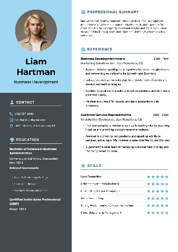 Business Development CV Example