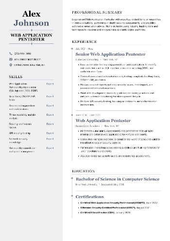 Web Application Pentester CV Sample