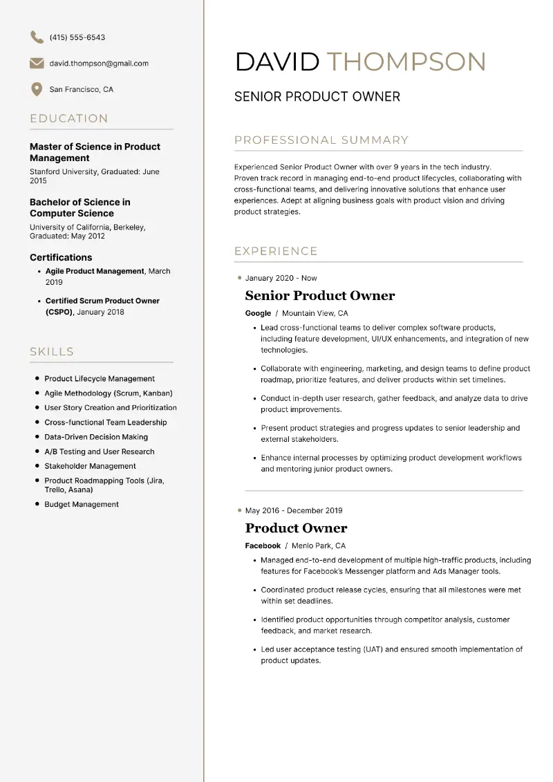 Senior Product Owner Resume Examples & Templates for 2025