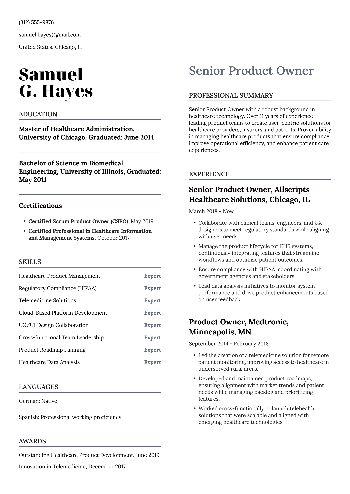 Senior Product Owner Resume