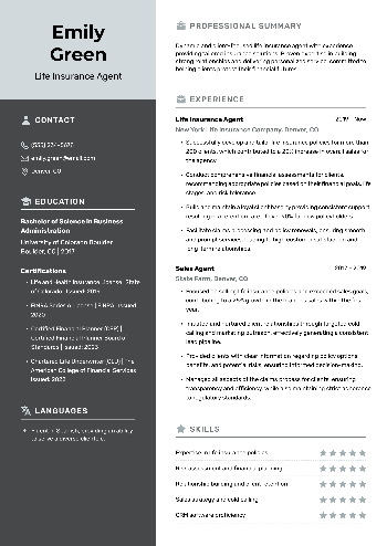 Life Insurance Agent CV Example