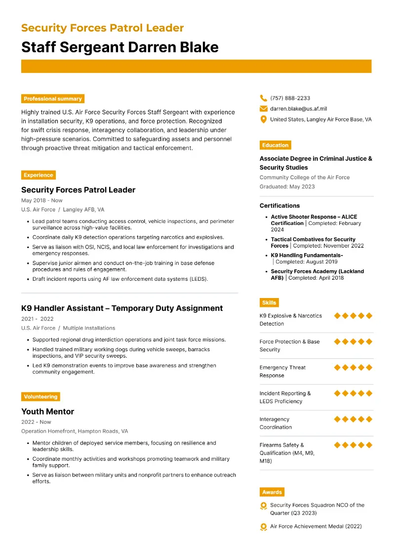 Security Forces Patrol Leader Resume