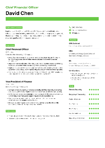 Chief Financial Officer Resume