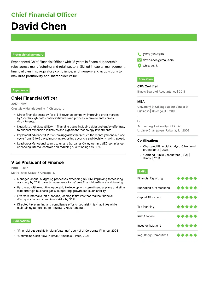 Chief Financial Officer Resume