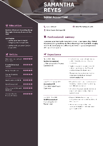 Senior Accountant  Resume