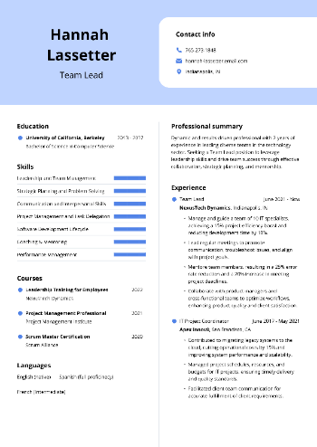 Team Lead Resume Team Lead Resume